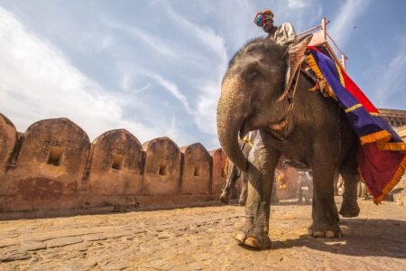 India Isn’t One Destination — It’s Many Worlds in One Journey